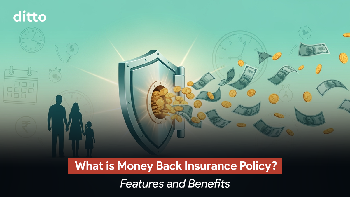 Money Back Insurance Policy