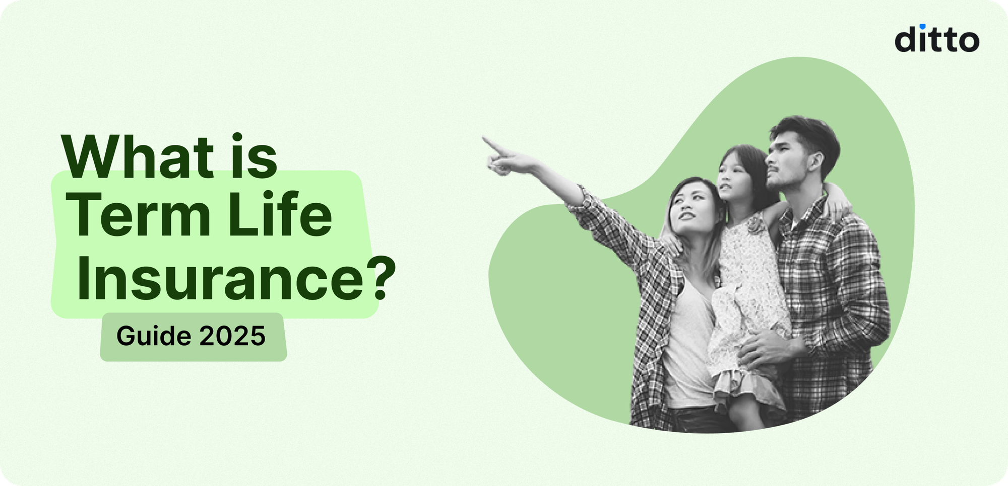 What Is Term Life Insurance?