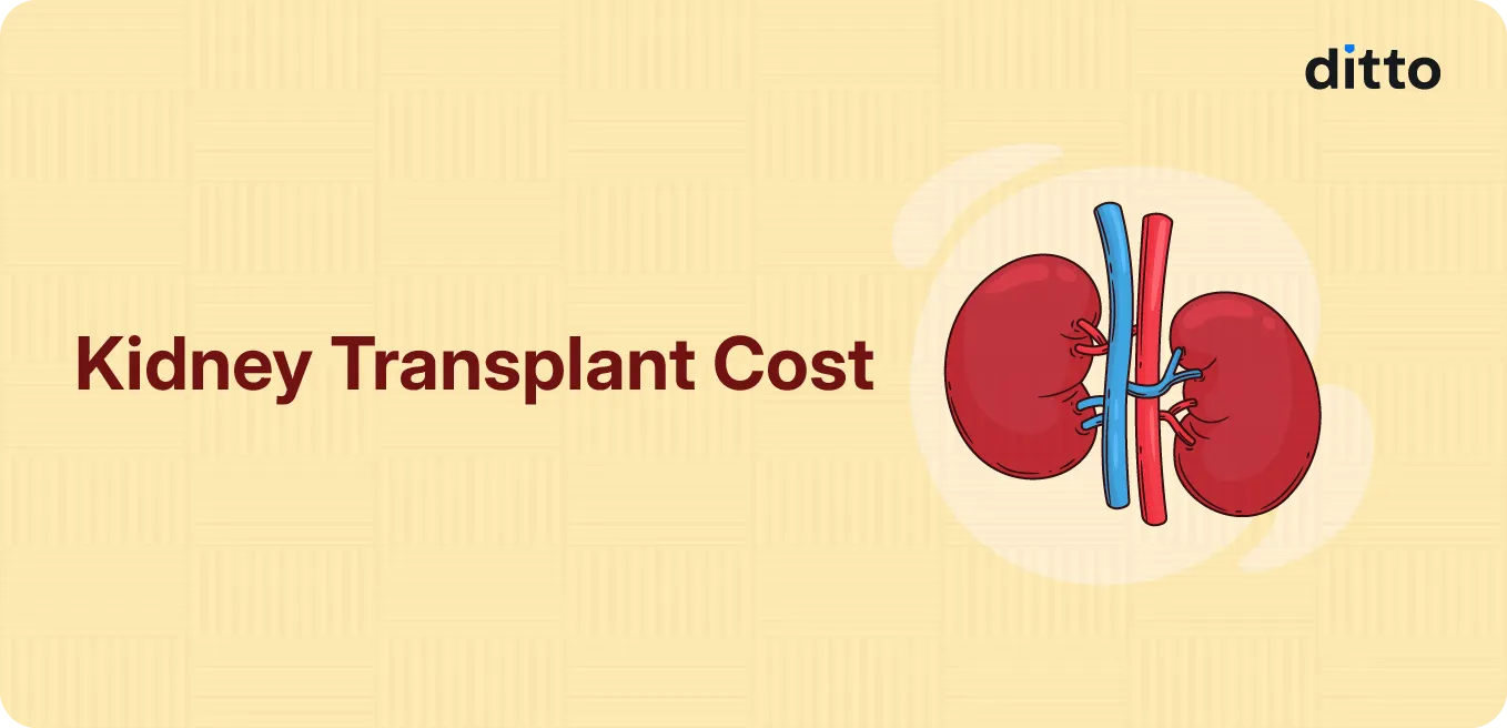 Kidney Transplant Cost: Complete Guide