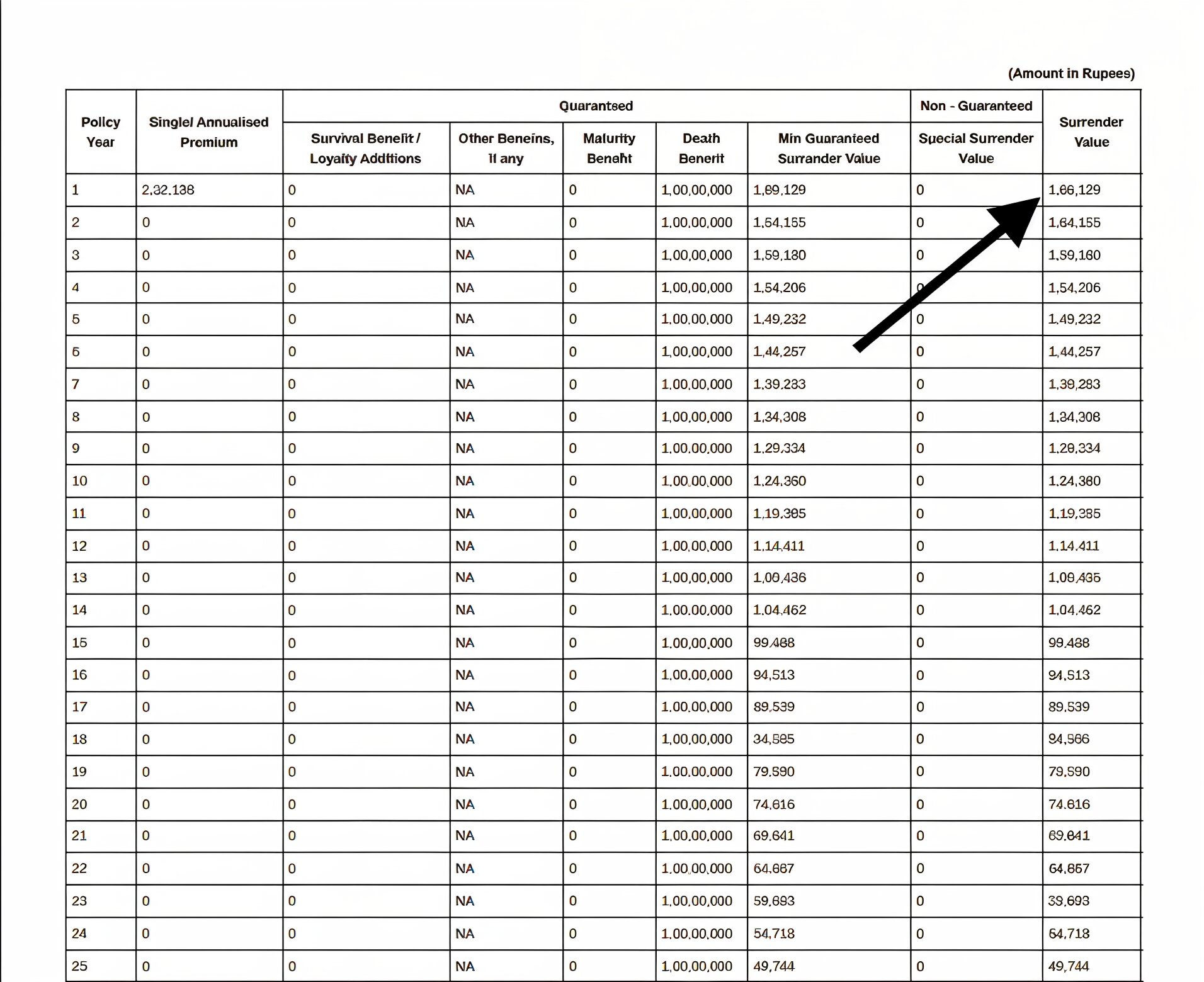 Single Premium Term Insurance