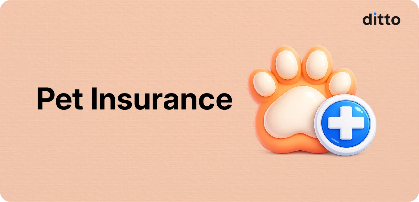 Pet Insurance in India: Coverage, Plans and Cost